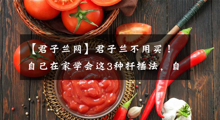 【君子兰网】君子兰不用买！自己在家学会这3种扦插法，自己在家繁殖君子兰！