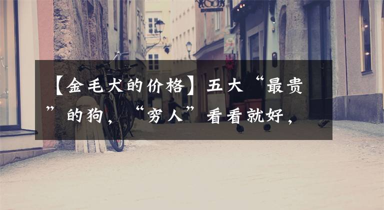 【金毛犬的价格】五大“最贵”的狗，“穷人”看看就好，真心养不起