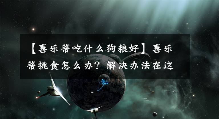 【喜乐蒂吃什么狗粮好】喜乐蒂挑食怎么办？解决办法在这里
