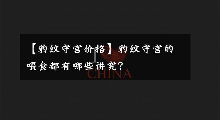 【豹纹守宫价格】豹纹守宫的喂食都有哪些讲究？