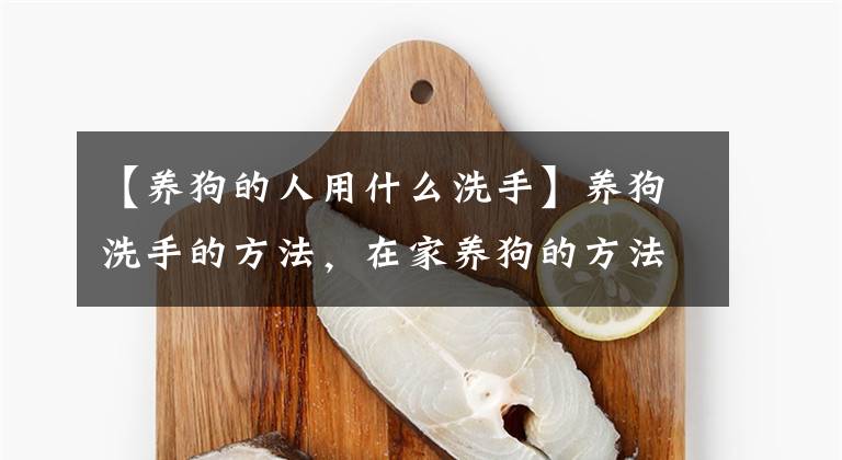 【养狗的人用什么洗手】养狗洗手的方法，在家养狗的方法