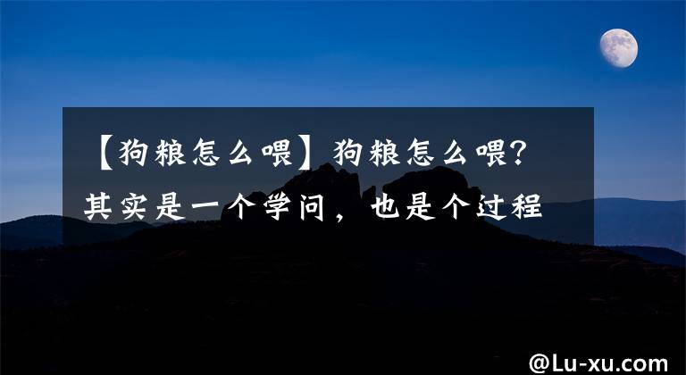 【狗粮怎么喂】狗粮怎么喂？其实是一个学问，也是个过程