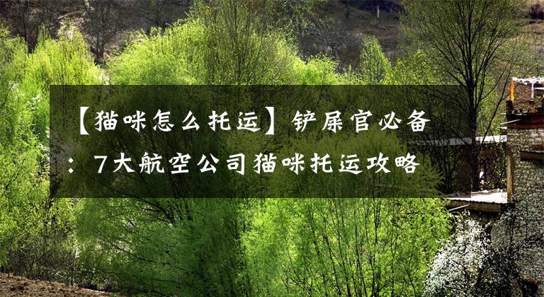 【猫咪怎么托运】铲屎官必备：7大航空公司猫咪托运攻略
