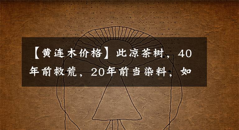 【黄连木价格】此凉茶树，40年前救荒，20年前当染料，如今叶子30元一斤