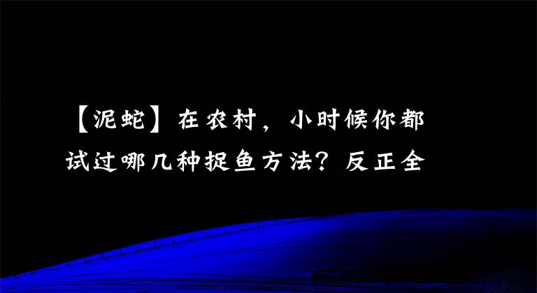 【泥蛇】在农村，小时候你都试过哪几种捉鱼方法？反正全部我都经历过了