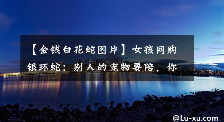 【金钱白花蛇图片】女孩网购银环蛇：别人的宠物要陪，你的宠物要命