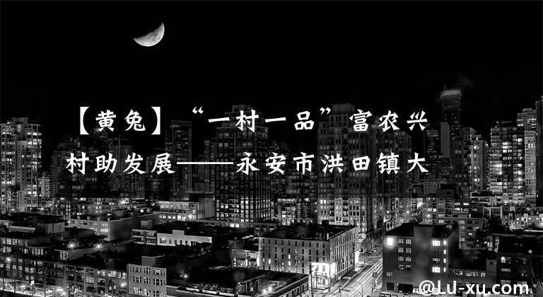 【黄兔】“一村一品”富农兴村助发展——永安市洪田镇大科畲族村的致富“密码”