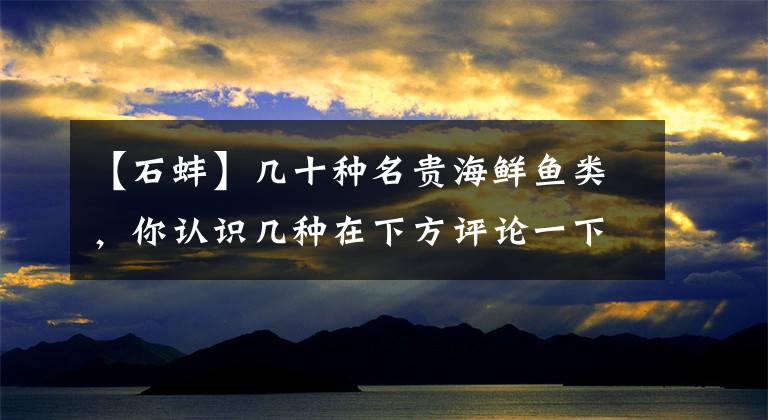 【石蚌】几十种名贵海鲜鱼类，你认识几种在下方评论一下吧