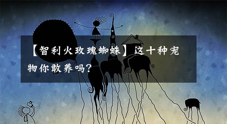 【智利火玫瑰蜘蛛】这十种宠物你敢养吗？