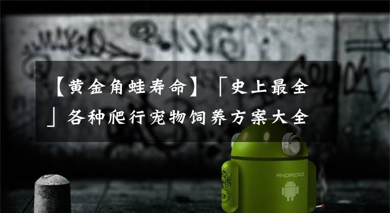 【黄金角蛙寿命】「史上最全」各种爬行宠物饲养方案大全，你想要的全在这
