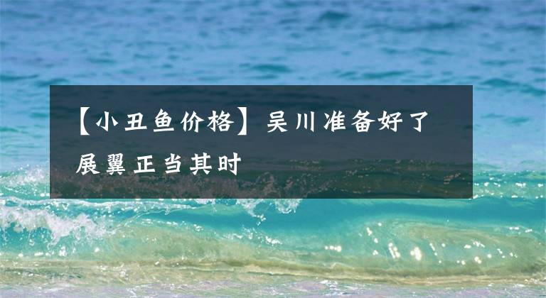 【小丑鱼价格】吴川准备好了 展翼正当其时