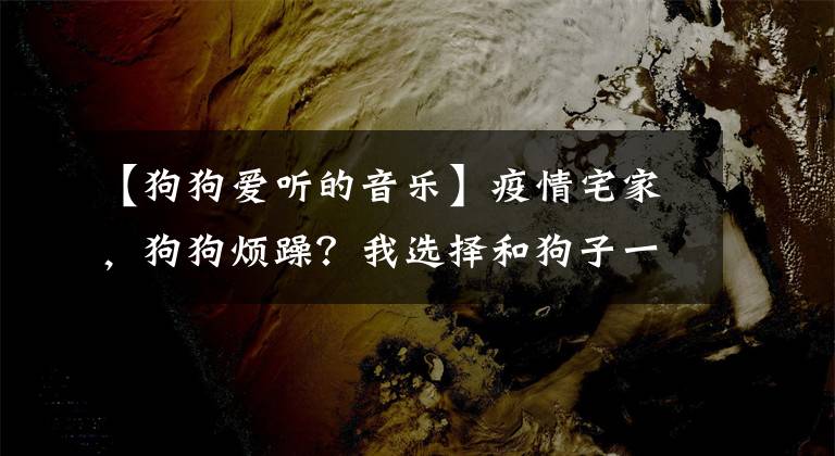 【狗狗爱听的音乐】疫情宅家，狗狗烦躁？我选择和狗子一起摇摆