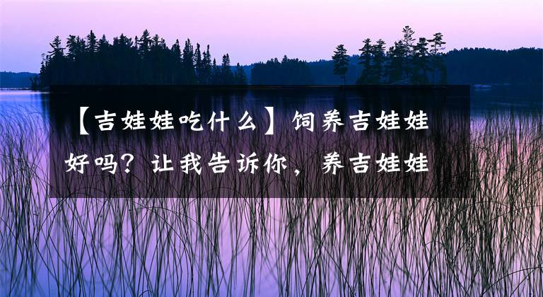 【吉娃娃吃什么】饲养吉娃娃好吗？让我告诉你，养吉娃娃的好处
