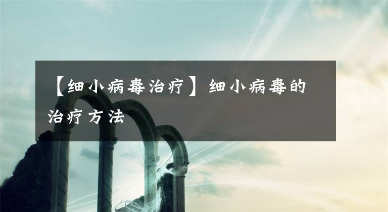 【细小病毒治疗】细小病毒的治疗方法