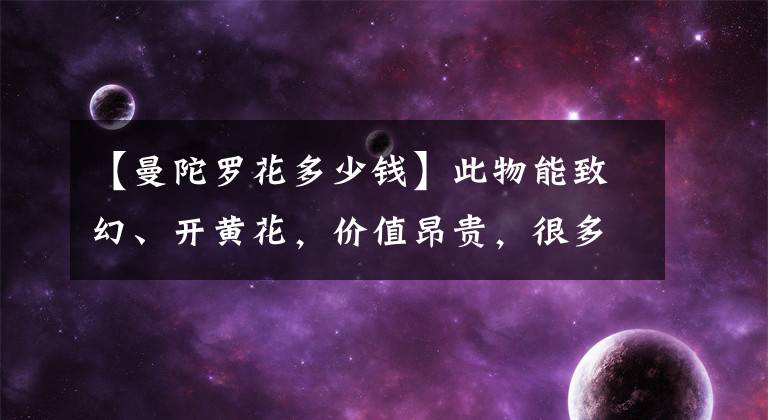 【曼陀罗花多少钱】此物能致幻、开黄花，价值昂贵，很多乡下都能见到，名曼陀罗
