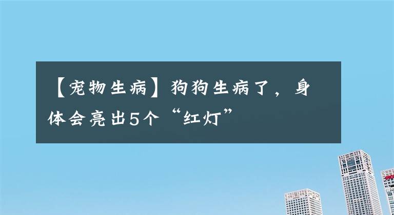 【宠物生病】狗狗生病了，身体会亮出5个“红灯”
