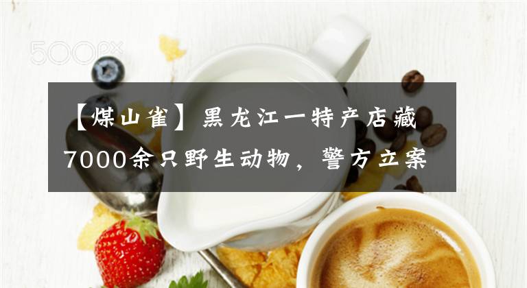 【煤山雀】黑龙江一特产店藏7000余只野生动物，警方立案调查