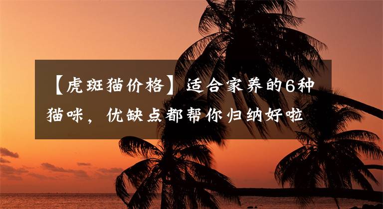 【虎斑猫价格】适合家养的6种猫咪，优缺点都帮你归纳好啦