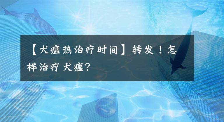 【犬瘟热治疗时间】转发！怎样治疗犬瘟？