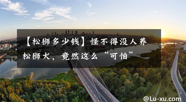 【松狮多少钱】怪不得没人养松狮犬，竟然这么“可怕”