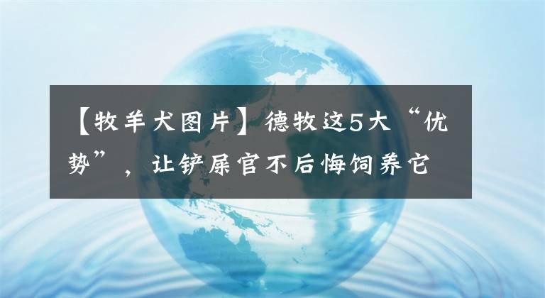 【牧羊犬图片】德牧这5大“优势”，让铲屎官不后悔饲养它