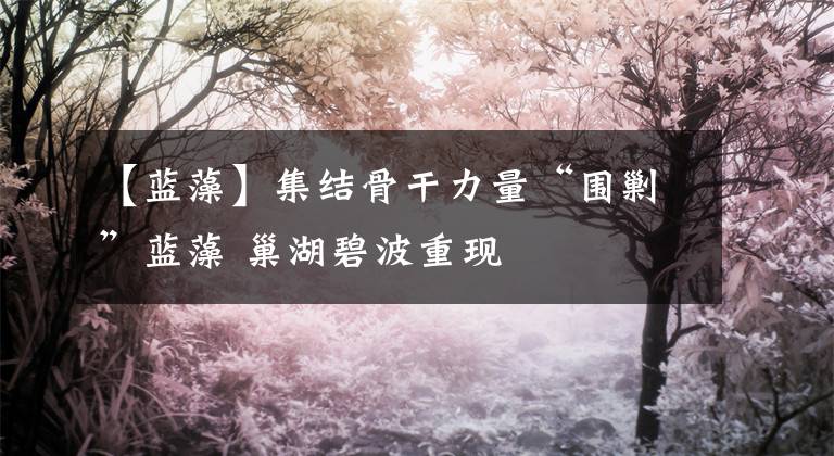 【蓝藻】集结骨干力量“围剿”蓝藻 巢湖碧波重现