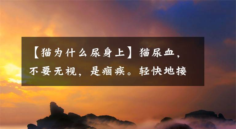 【猫为什么尿身上】猫尿血，不要无视，是痼疾。轻快地接受治疗。否则会影响猫的健康