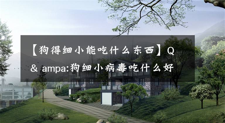 【狗得细小能吃什么东西】Q & ampa:狗细小病毒吃什么好？