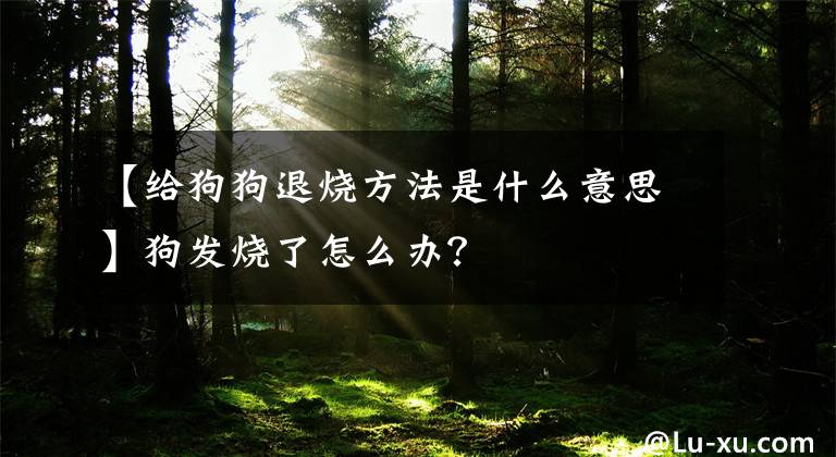 【给狗狗退烧方法是什么意思】狗发烧了怎么办？