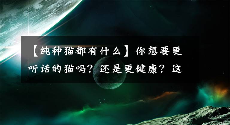 【纯种猫都有什么】你想要更听话的猫吗？还是更健康？这是你不知道的猫优生