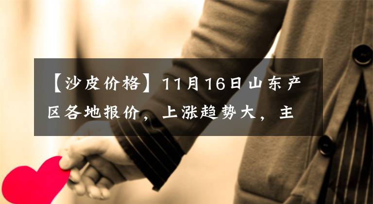 【沙皮价格】11月16日山东产区各地报价，上涨趋势大，主要受河南影响，你看看