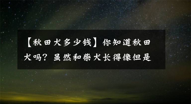 【秋田犬多少钱】你知道秋田犬吗？虽然和柴犬长得像但是价格相差很大！