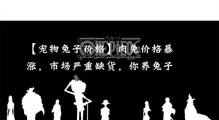 【宠物兔子价格】肉兔价格暴涨，市场严重缺货，你养兔子了吗？