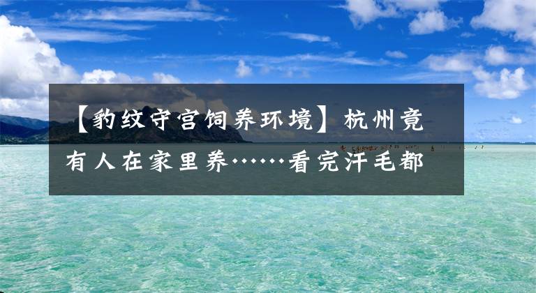 【豹纹守宫饲养环境】杭州竟有人在家里养……看完汗毛都竖起来了！胆子小的勿点……