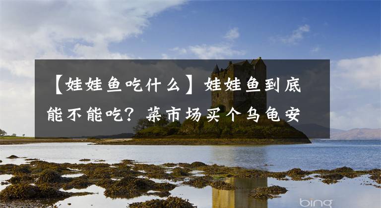 【娃娃鱼吃什么】娃娃鱼到底能不能吃？菜市场买个乌龟安全不安全？让他们来给你解答