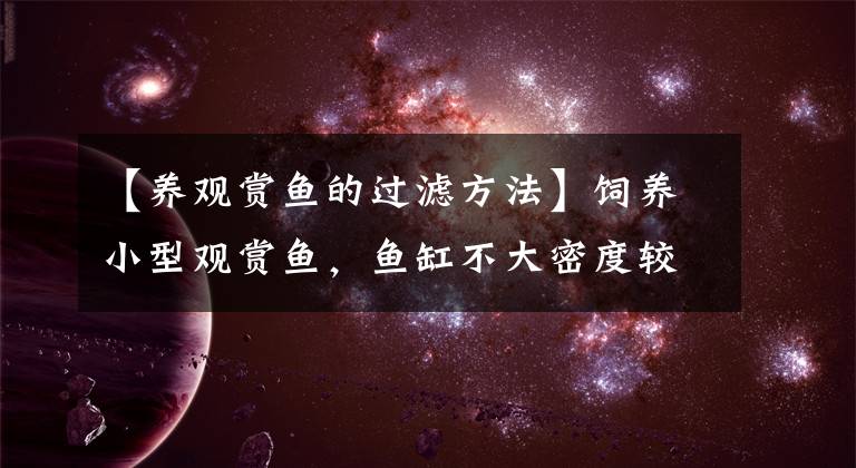 【养观赏鱼的过滤方法】饲养小型观赏鱼，鱼缸不大密度较低，应该选择什么过滤形式？