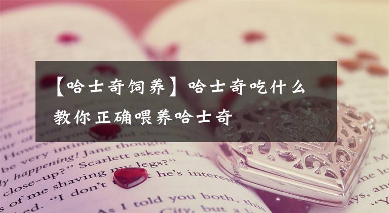 【哈士奇饲养】哈士奇吃什么 教你正确喂养哈士奇