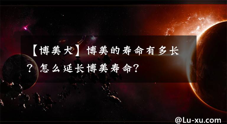 【博美犬】博美的寿命有多长？怎么延长博美寿命？