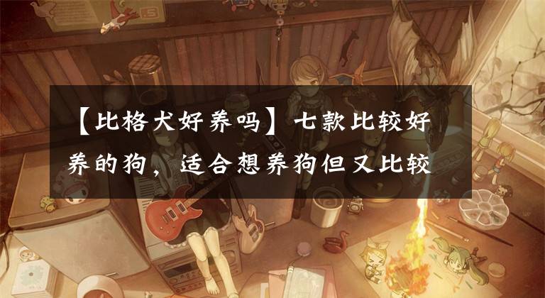 【比格犬好养吗】七款比较好养的狗，适合想养狗但又比较懒的人颜值还高，一起来看