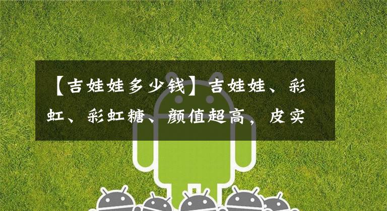 【吉娃娃多少钱】吉娃娃、彩虹、彩虹糖、颜值超高，皮实好养，冬日美肉精选