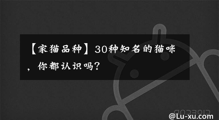 【家猫品种】30种知名的猫咪，你都认识吗？