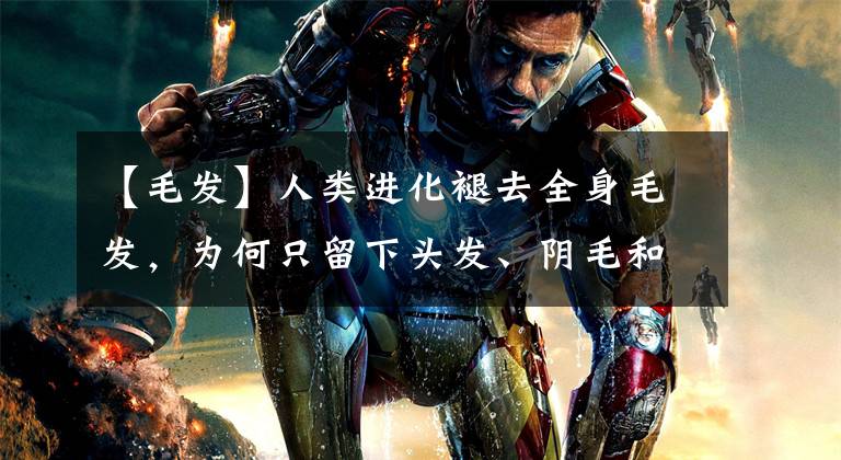 【毛发】人类进化褪去全身毛发，为何只留下头发、阴毛和腋毛？