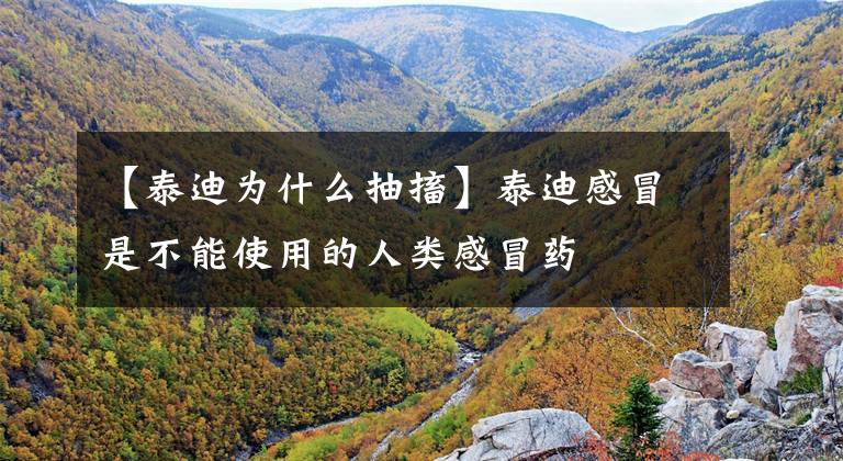 【泰迪为什么抽搐】泰迪感冒是不能使用的人类感冒药