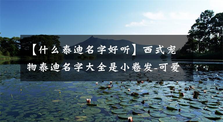 【什么泰迪名字好听】西式宠物泰迪名字大全是小卷发-可爱的一点