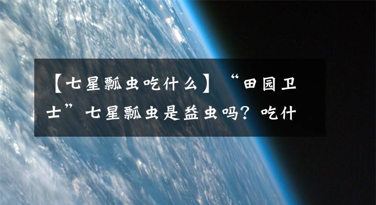 【七星瓢虫吃什么】“田园卫士”七星瓢虫是益虫吗？吃什么长大的？咬人有毒吗？