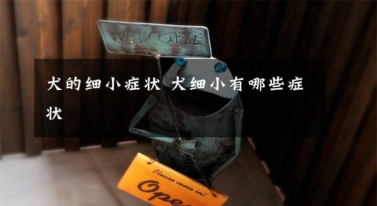 犬的细小症状 犬细小有哪些症状