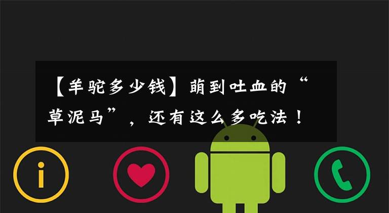 【羊驼多少钱】萌到吐血的“草泥马”，还有这么多吃法！你下得了嘴吗？