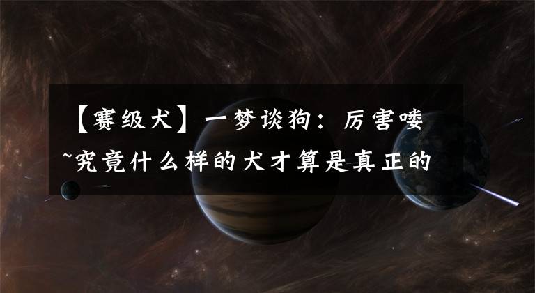 【赛级犬】一梦谈狗：厉害喽~究竟什么样的犬才算是真正的赛级犬？