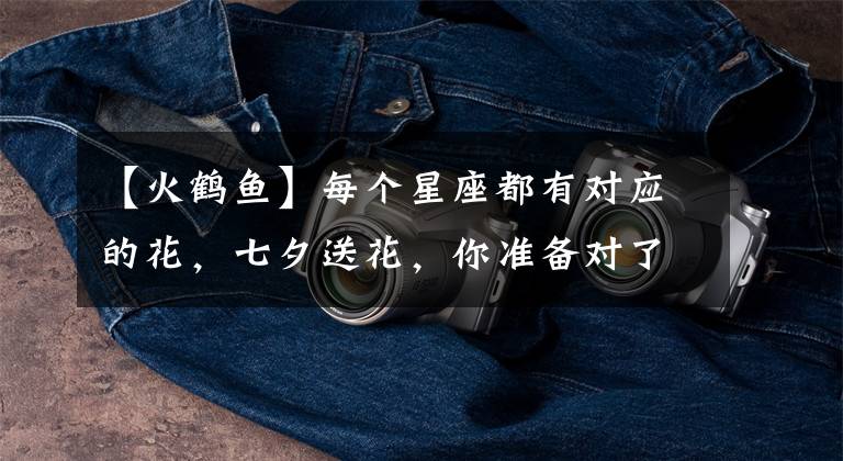 【火鹤鱼】每个星座都有对应的花，七夕送花，你准备对了吗？