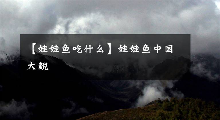 【娃娃鱼吃什么】娃娃鱼中国大鲵